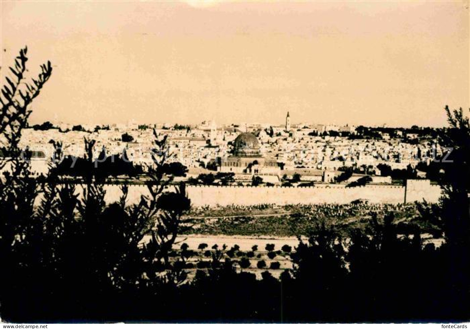 72813087 Jerusalem Yerushalayim Vue Du Mont Des Oliviers Israel - Israël