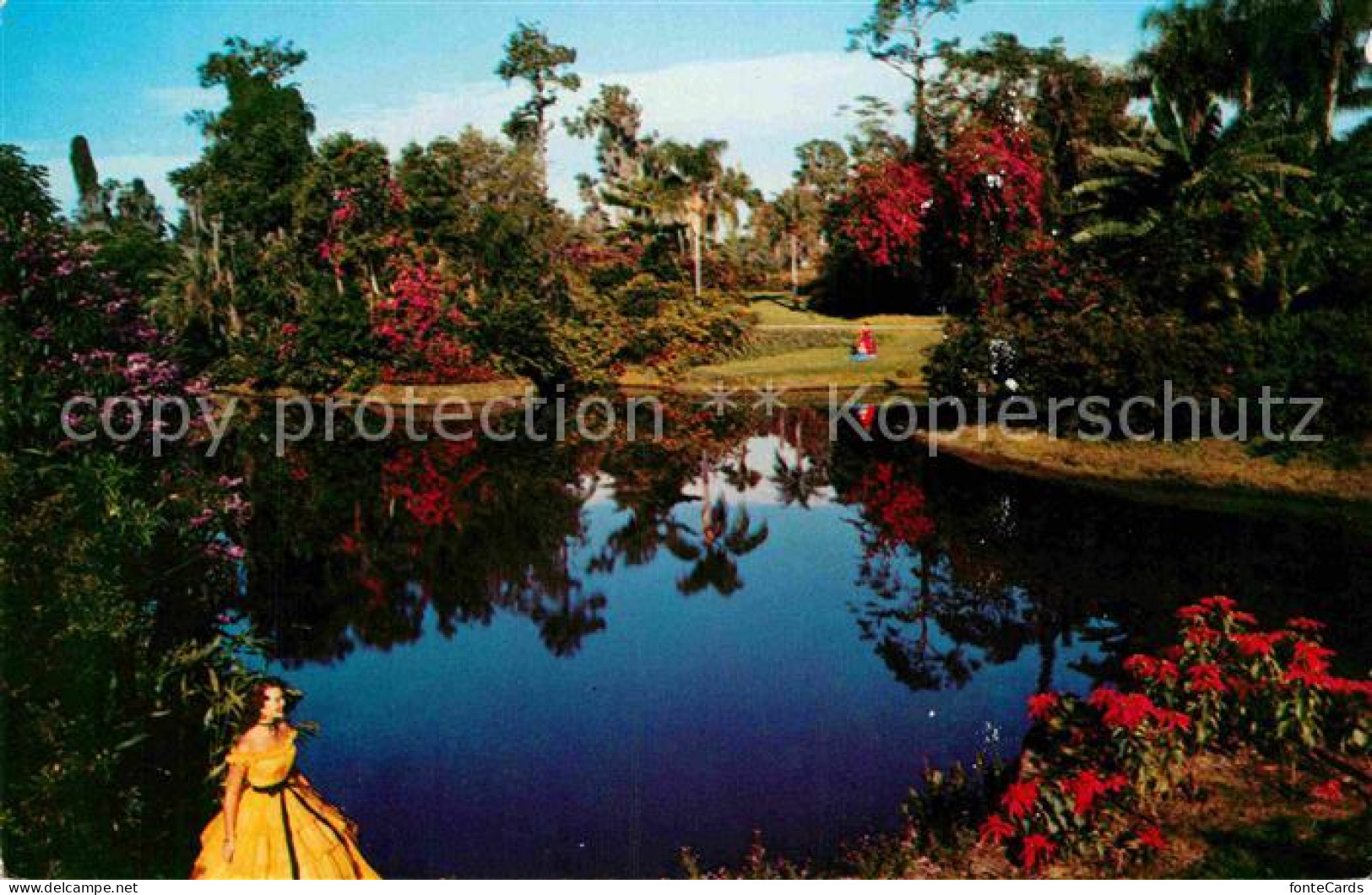 72811422 Miami_Florida Blossom Time Cypress Gardens - Sonstige & Ohne Zuordnung