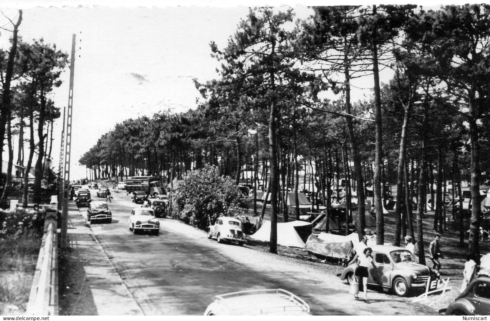 Sion-sur-l'Océan Animée Avenue De La Forêt Camping Voitures 4 CV Renault - Sonstige & Ohne Zuordnung