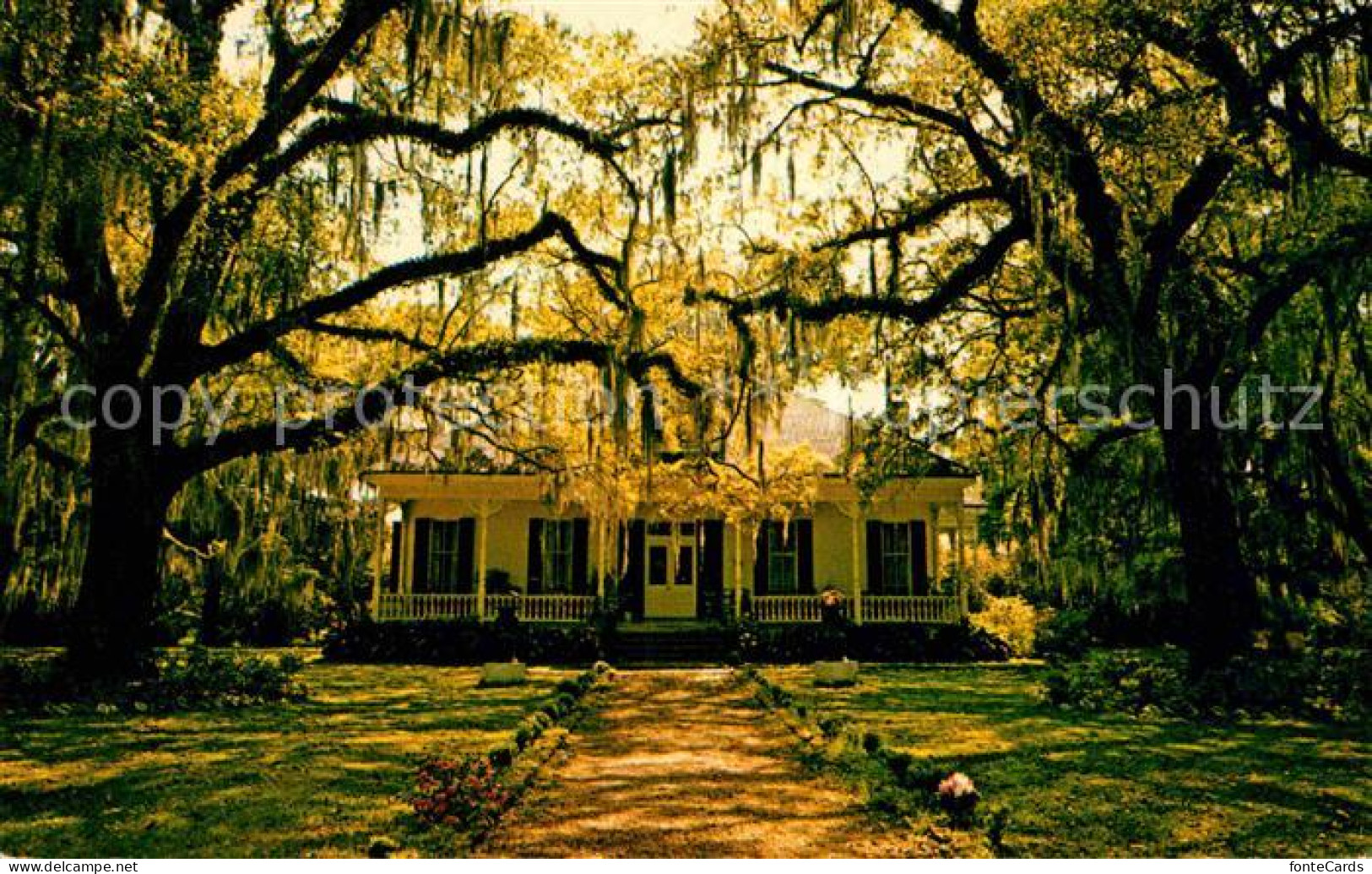 72810816 Saint_Francisville_Louisiana Catalpa Plantation Homesite - Other & Unclassified