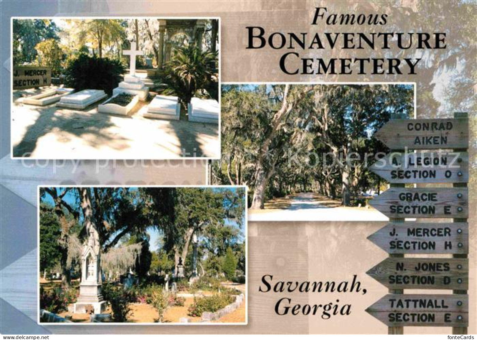72806718 Savannah_Georgia Bonaventure Cemetery - Andere & Zonder Classificatie