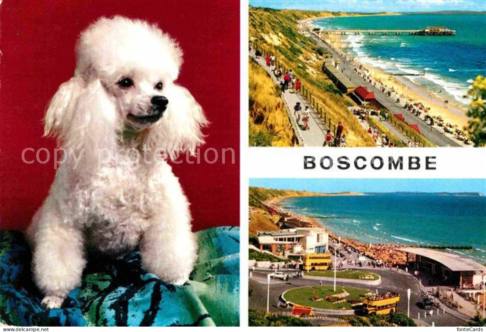 72805774 Boscombe Bournemouth Promenade And Pier Approach Dog Boscombe Bournemou - Andere & Zonder Classificatie
