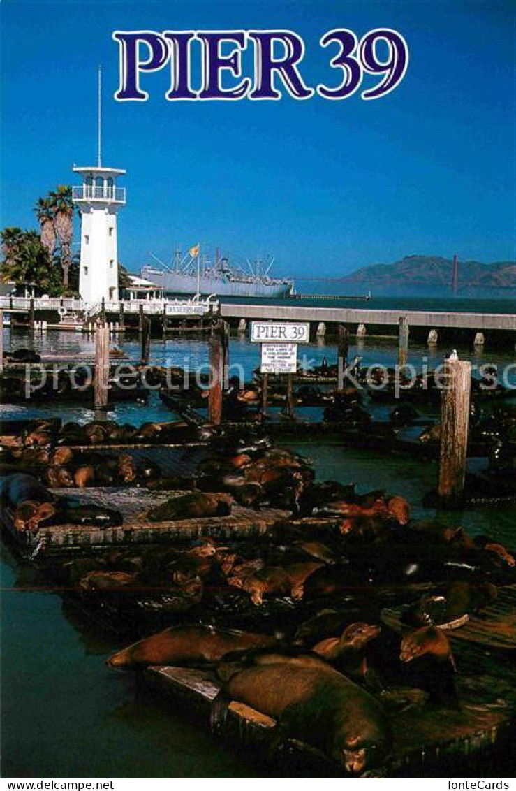 72800877 San_Francisco_California Pier 39 - Other & Unclassified