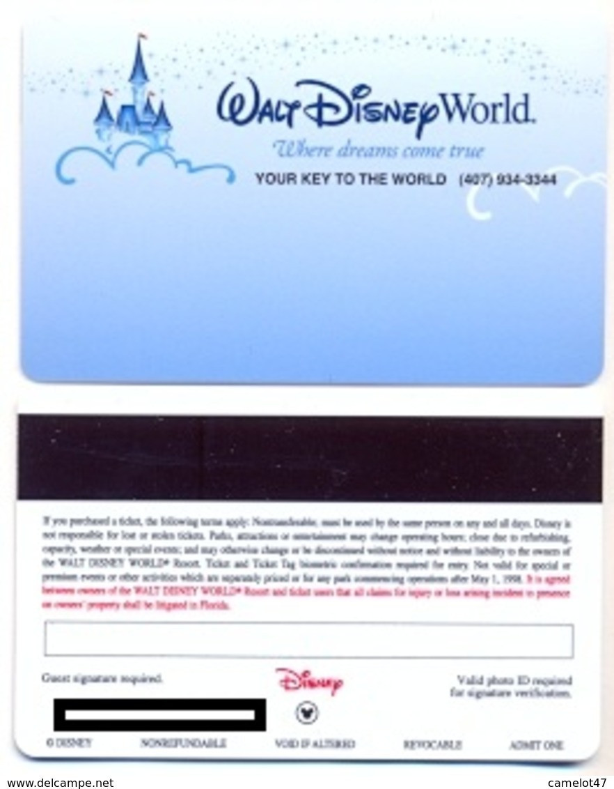 Walt Disney World, Orlando, FL, U.S.A., UNUSED Magnetic Hotel Room Key Card, # Disney-14 - Cartes D'hotel