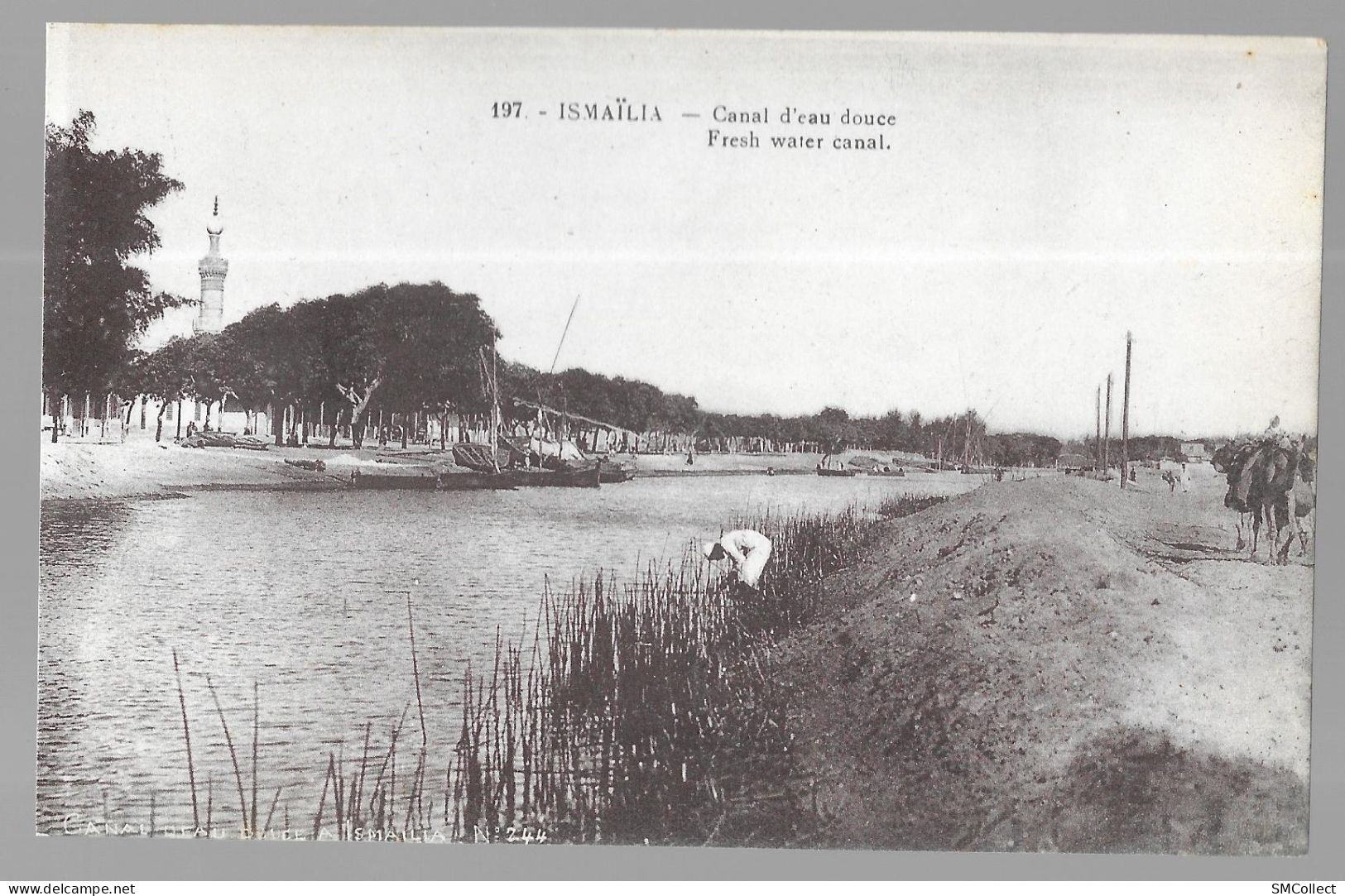 Ismaïlia, Canal D'eau Douce (A17p42) - Ismaïlia