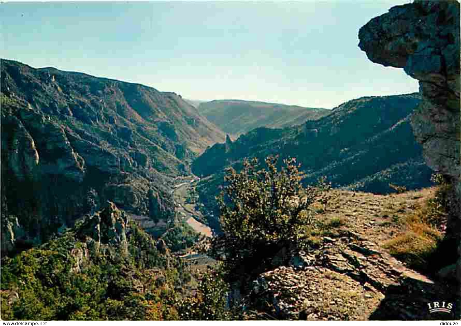 48 - Les Gorges Du Tarn - Le Point Sublime - Carte Neuve - CPM - Voir Scans Recto-Verso - Gorges Du Tarn