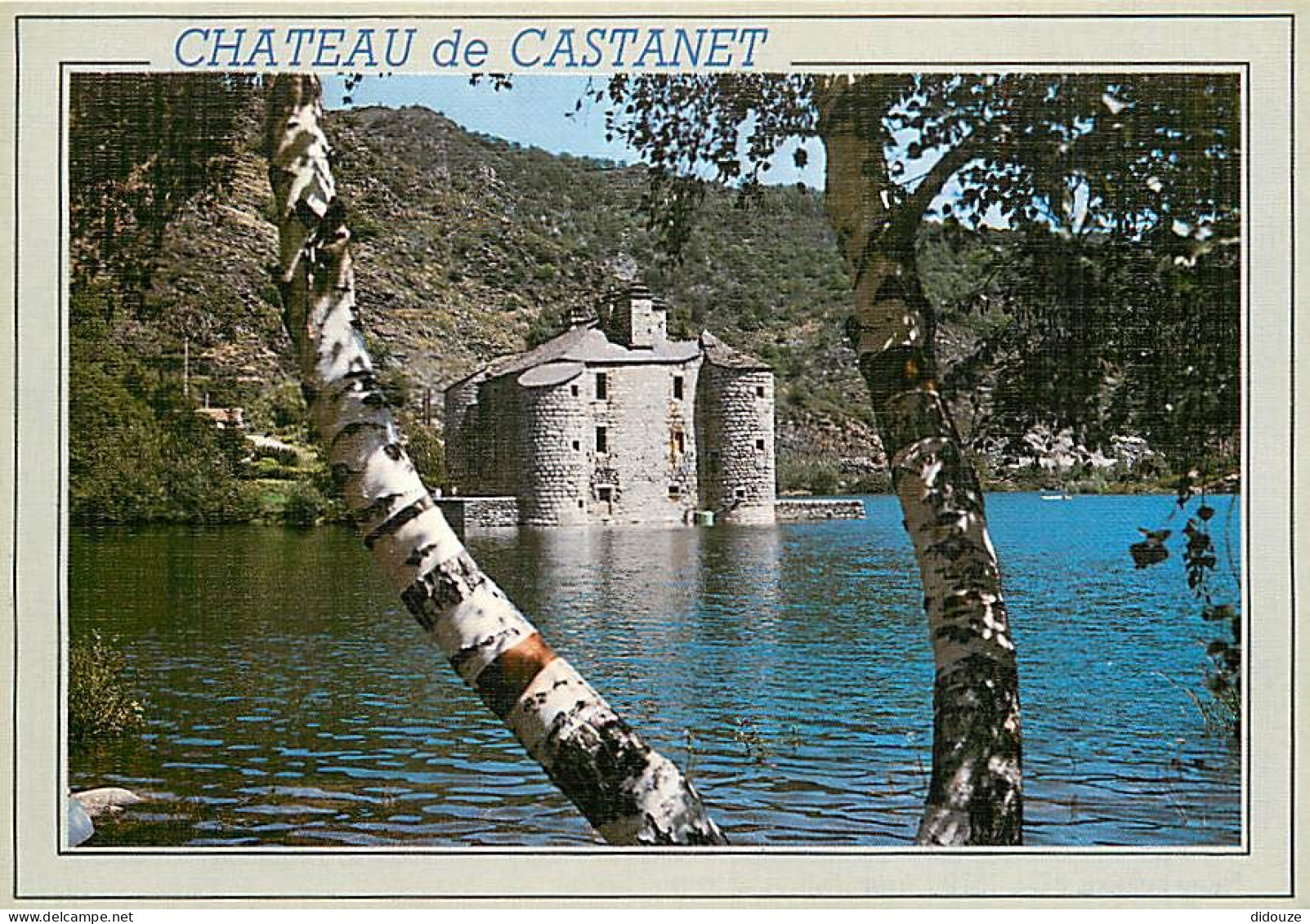 48 - Villefort - Le Château De Castanet - Au Bord Du Barrage De Villefort - CPM - Carte Neuve - Voir Scans Recto-Verso - Villefort
