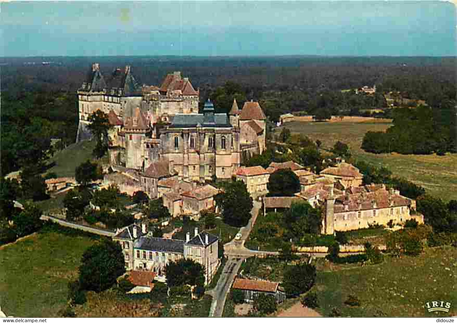 24 - Biron - Le Château Et Le Village - Vue Aérienne - CPM - Voir Scans Recto-Verso - Andere & Zonder Classificatie