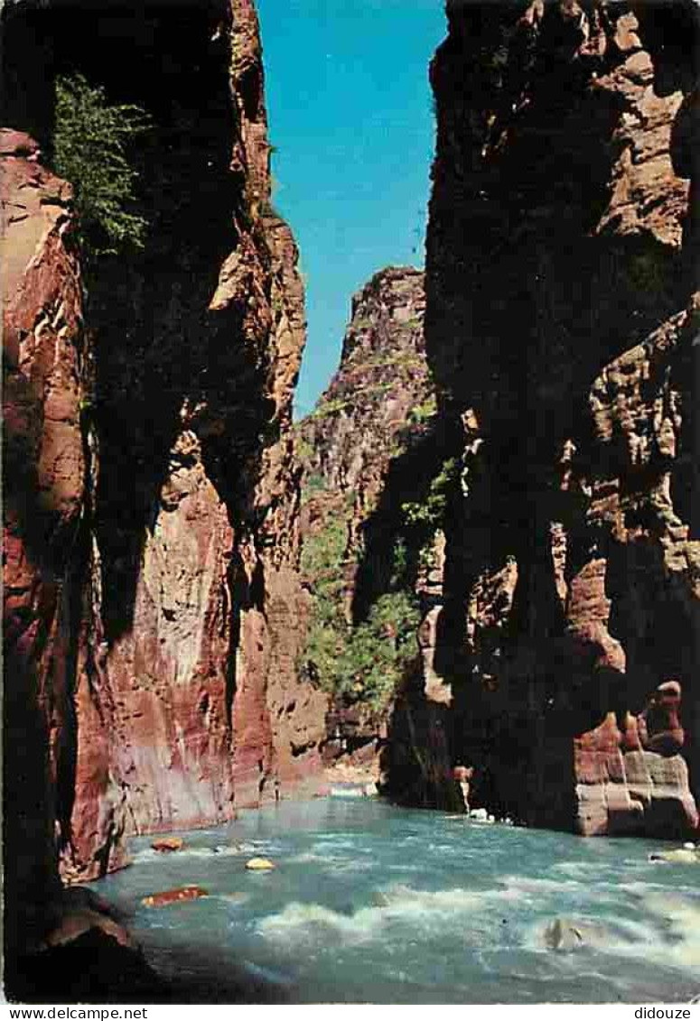 06 - Les Gorges De Daluis - Le Fond Près Du Pont Du Saut De La Mariée - CPM - Voir Scans Recto-Verso - Other & Unclassified