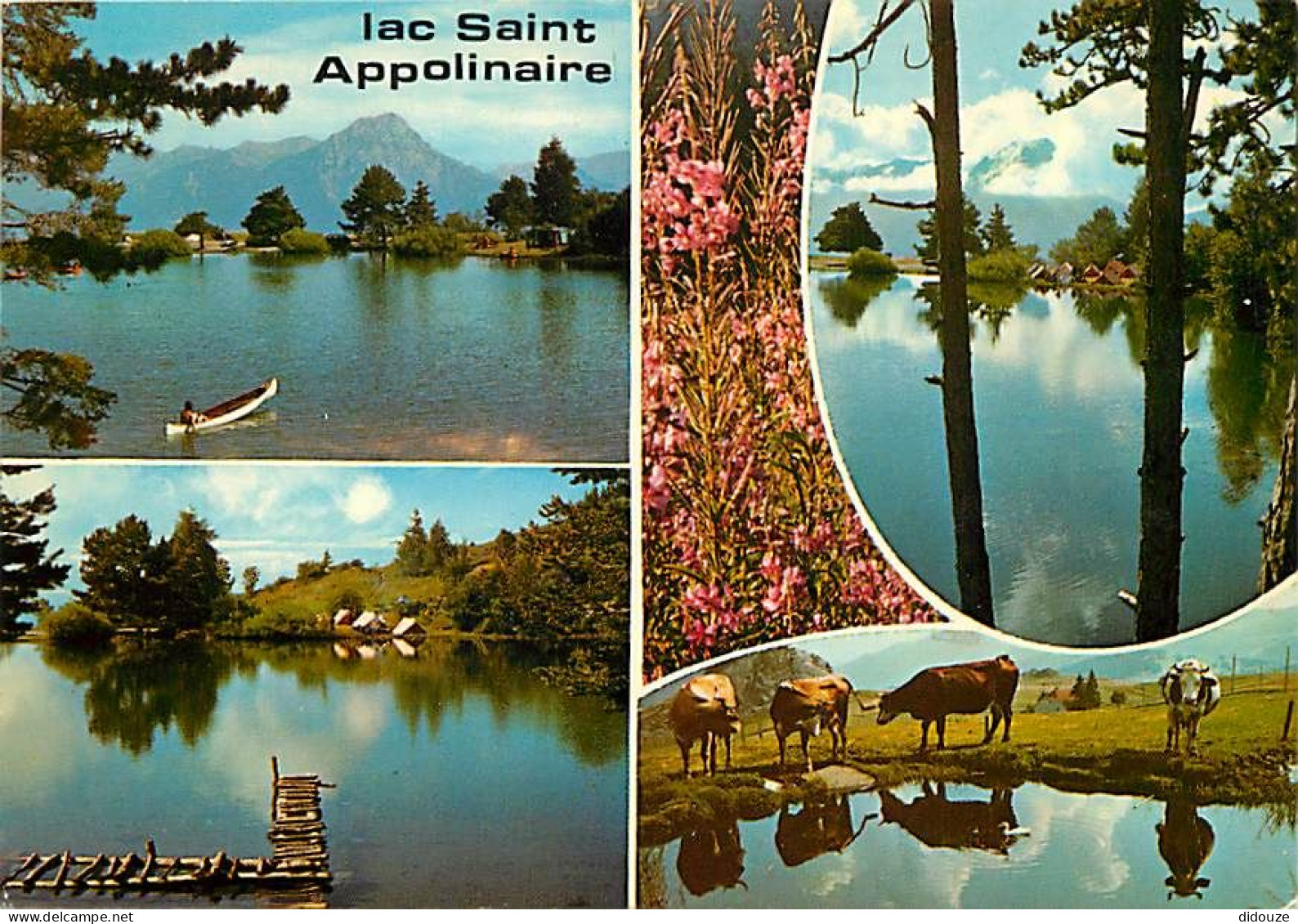 05 - Hautes Alpes - Lac Saint Apollinaire - Multivues - Vaches - CPM - Voir Scans Recto-Verso - Other & Unclassified