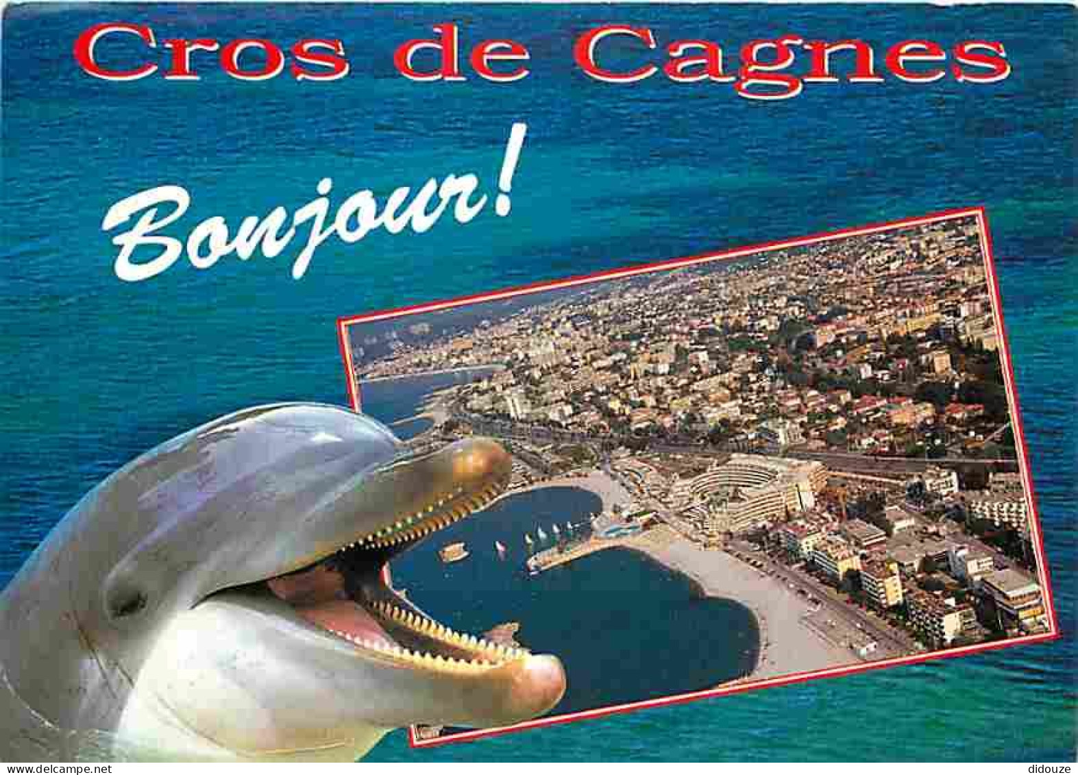 Animaux - Dauphins - CPM - Voir Scans Recto-Verso - Delfines