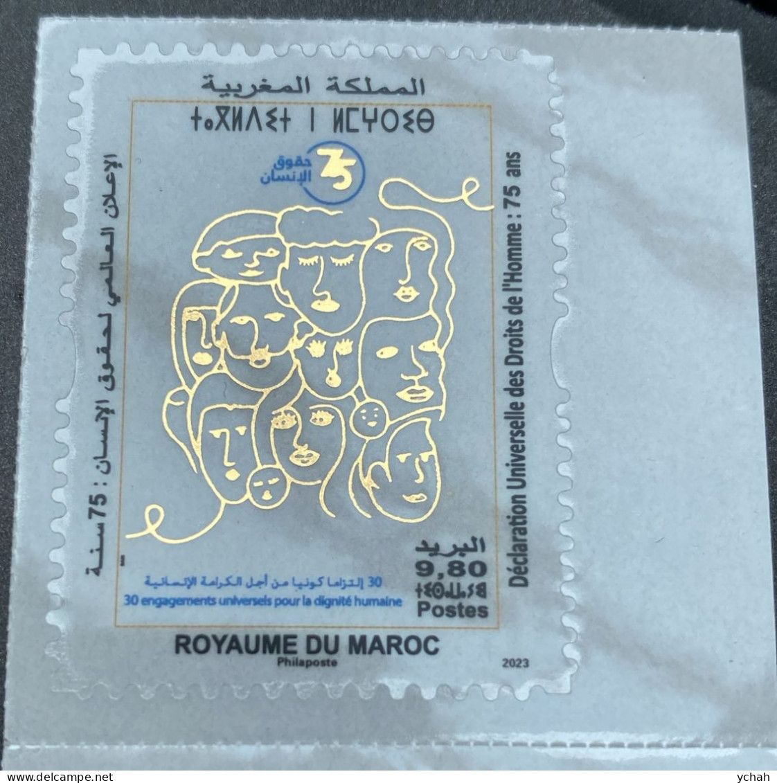 Unusual Stamp. Universal Declaration Of Human Rights. 75 Years Old. Sticker. Transparent. 2023. - Maroc (1956-...)