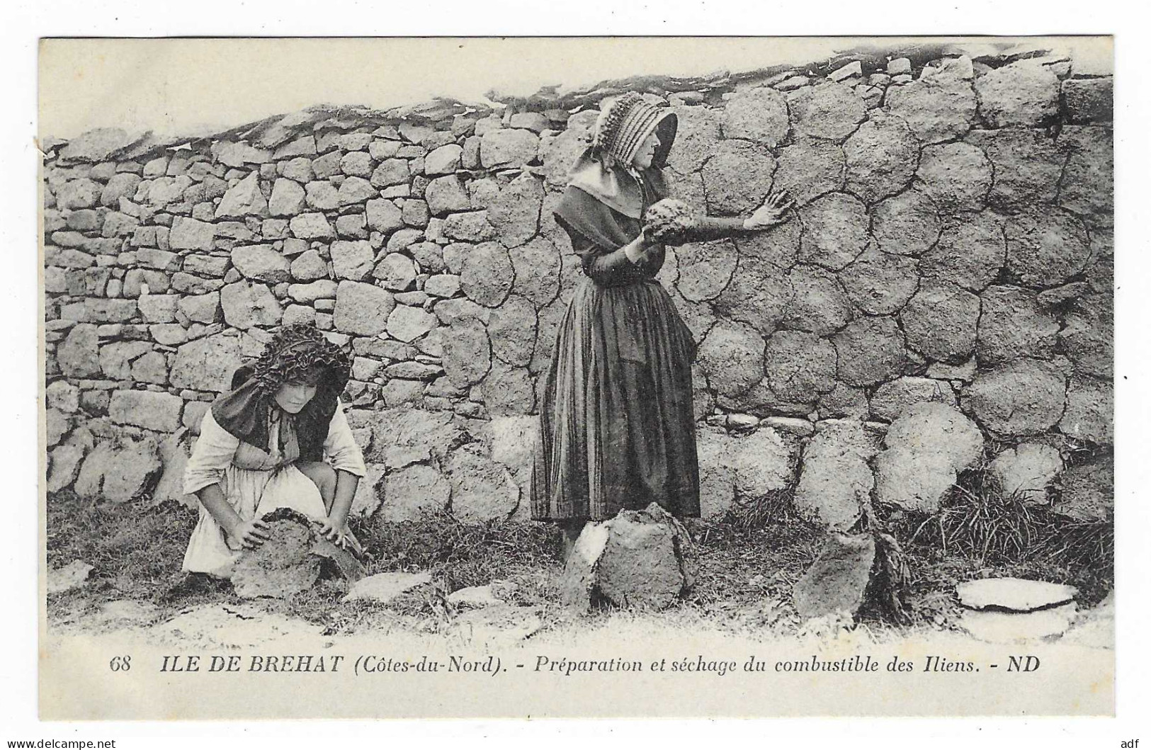 CPA ILE DE BREHAT, PREPARATION ET SECHAGE DU COMBUSTIBLE DES ILIENS, COTES D'ARMOR 22 - Ile De Bréhat