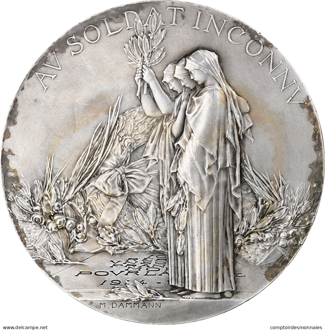 France, Médaille, Hommage Au Soldat Inconnu, 1920, Bronze Argenté, Dammann - Autres & Non Classés