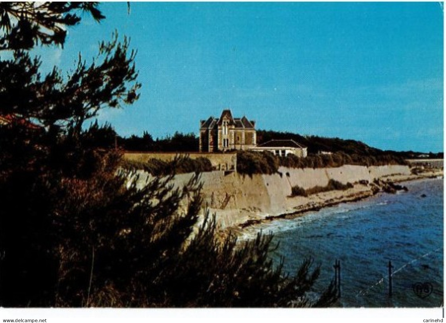 ANGOULINS SUR MER LA SAPINIERE ET LA MER - Angoulins