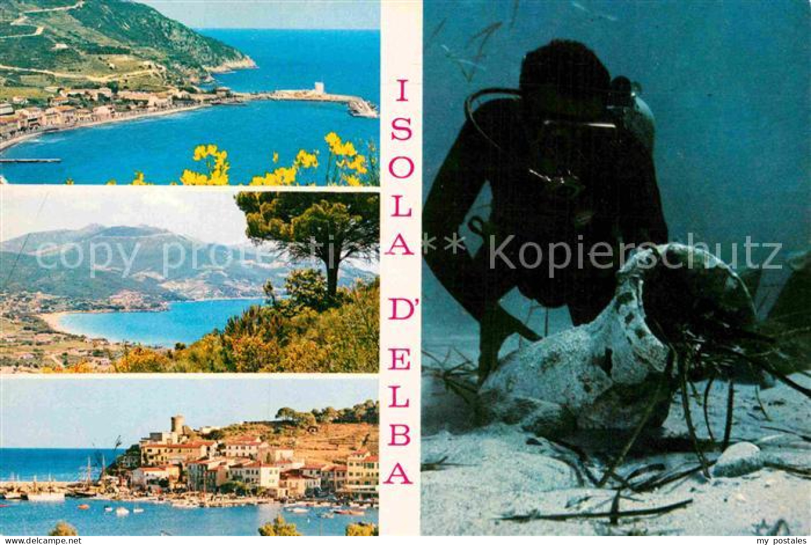 72891267 Isola D Elba S Andrea Archeologia Subacquea Recupero Di Anfore Romane S - Autres & Non Classés