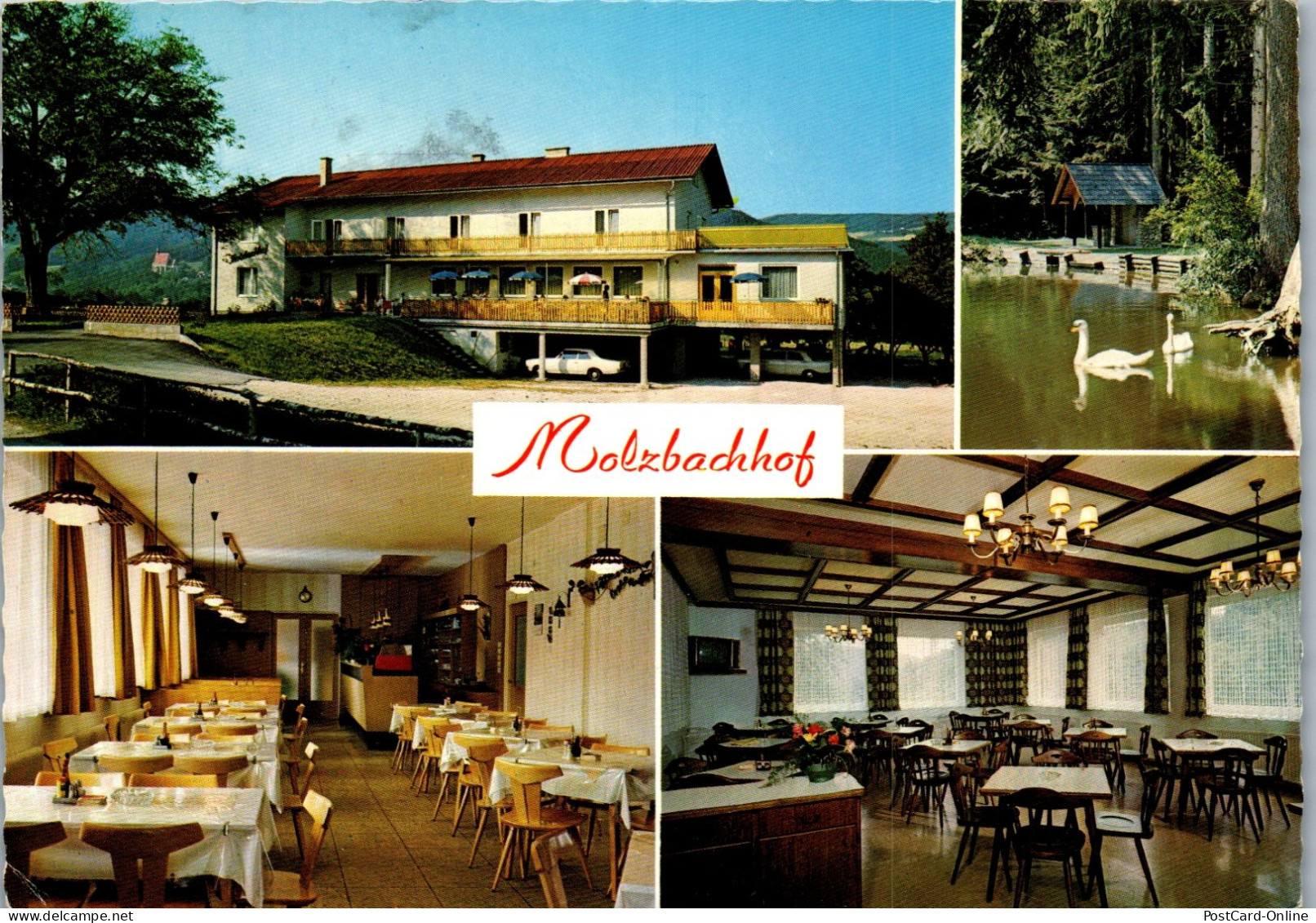 51949 - Niederösterreich - Kirchbach Am Wechsel , Molzbachhof , Inh. Toni Pichler - Gelaufen  - Wechsel