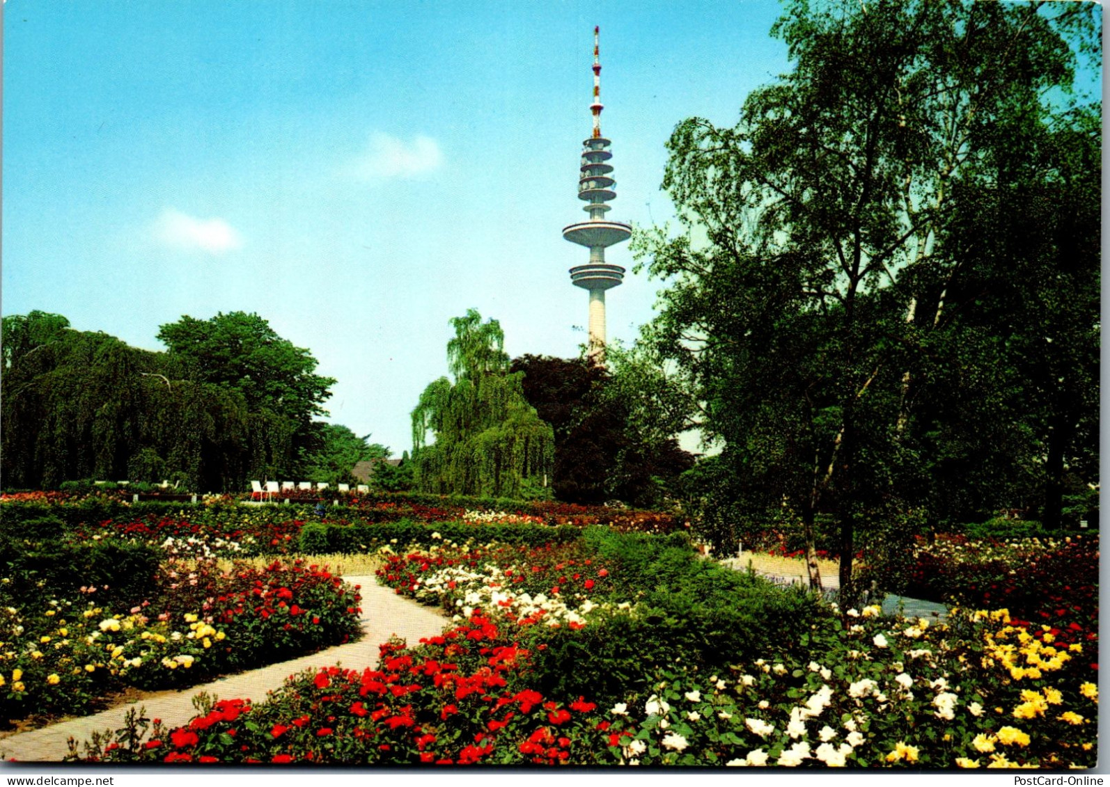 51777 - Deutschland - Hamburg , Rosenblüte In Planten Un Blomen , Fernsehturm - Nicht Gelaufen  - Other & Unclassified