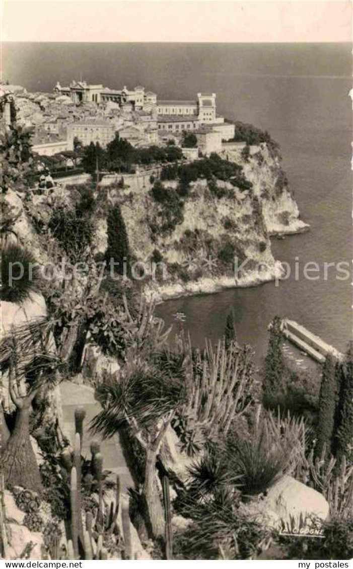 72890912 Monaco Le Rocher Vu Du Jardin Exotique  - Other & Unclassified