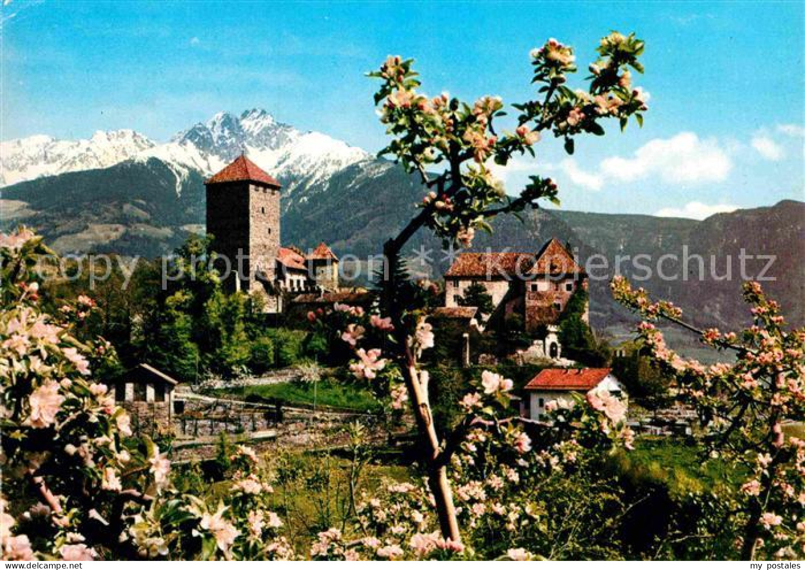 72890648 Meran Merano Schloss Tirol Merano - Otros & Sin Clasificación