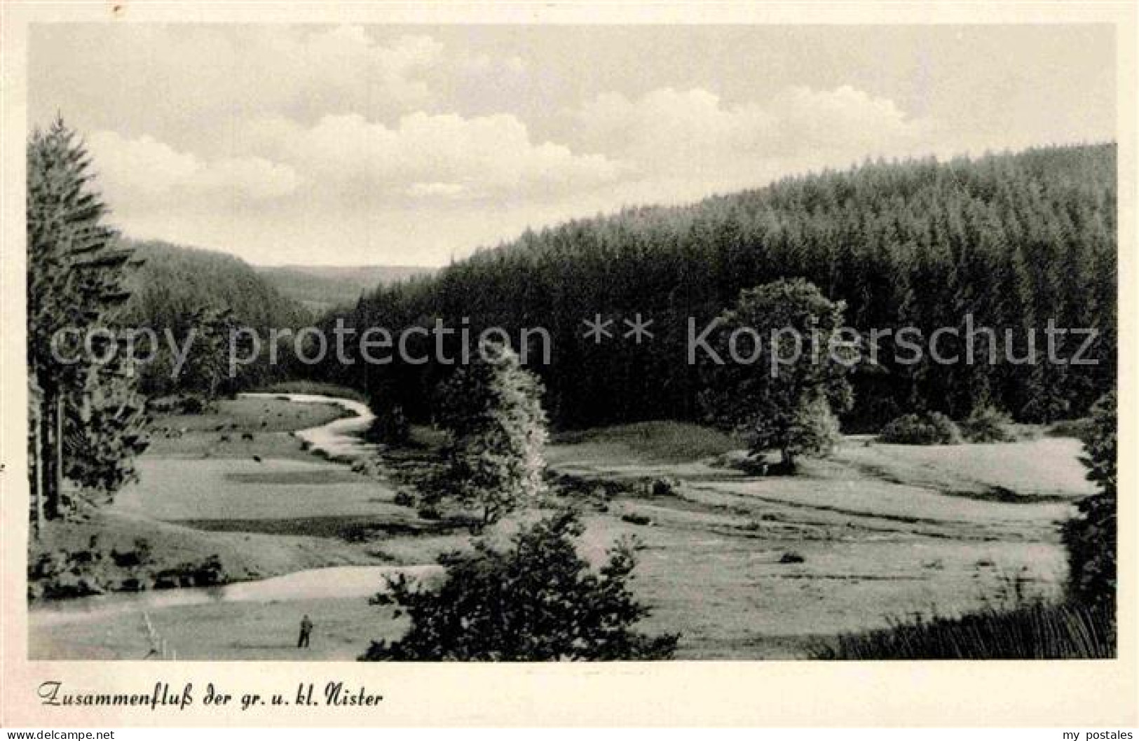 72890413 Heimborn Zusammenfluss Der Grossen Und Kleinen Nister Heimborn - Sonstige & Ohne Zuordnung