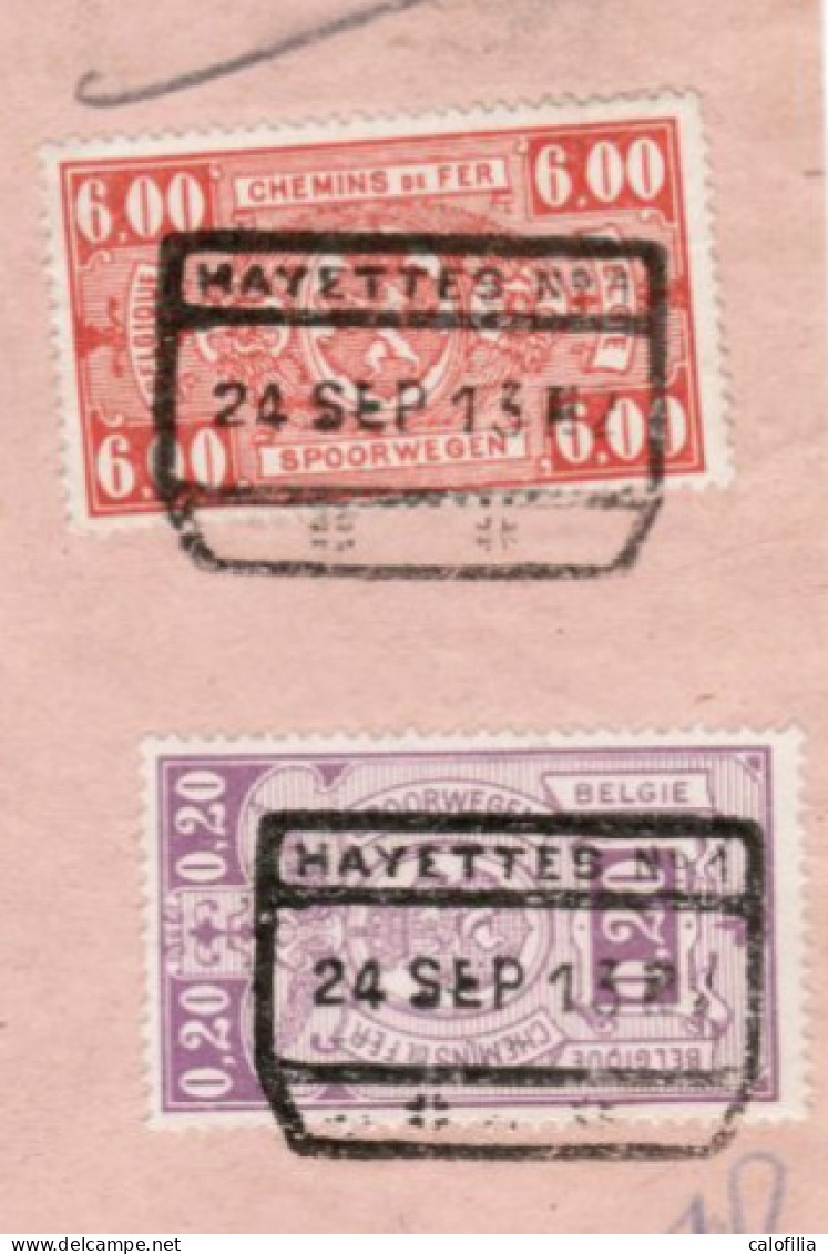 Fragment Bulletin D'expedition, Obliterations Centrale Nettes, HAYETTES 1, RARE - Usados