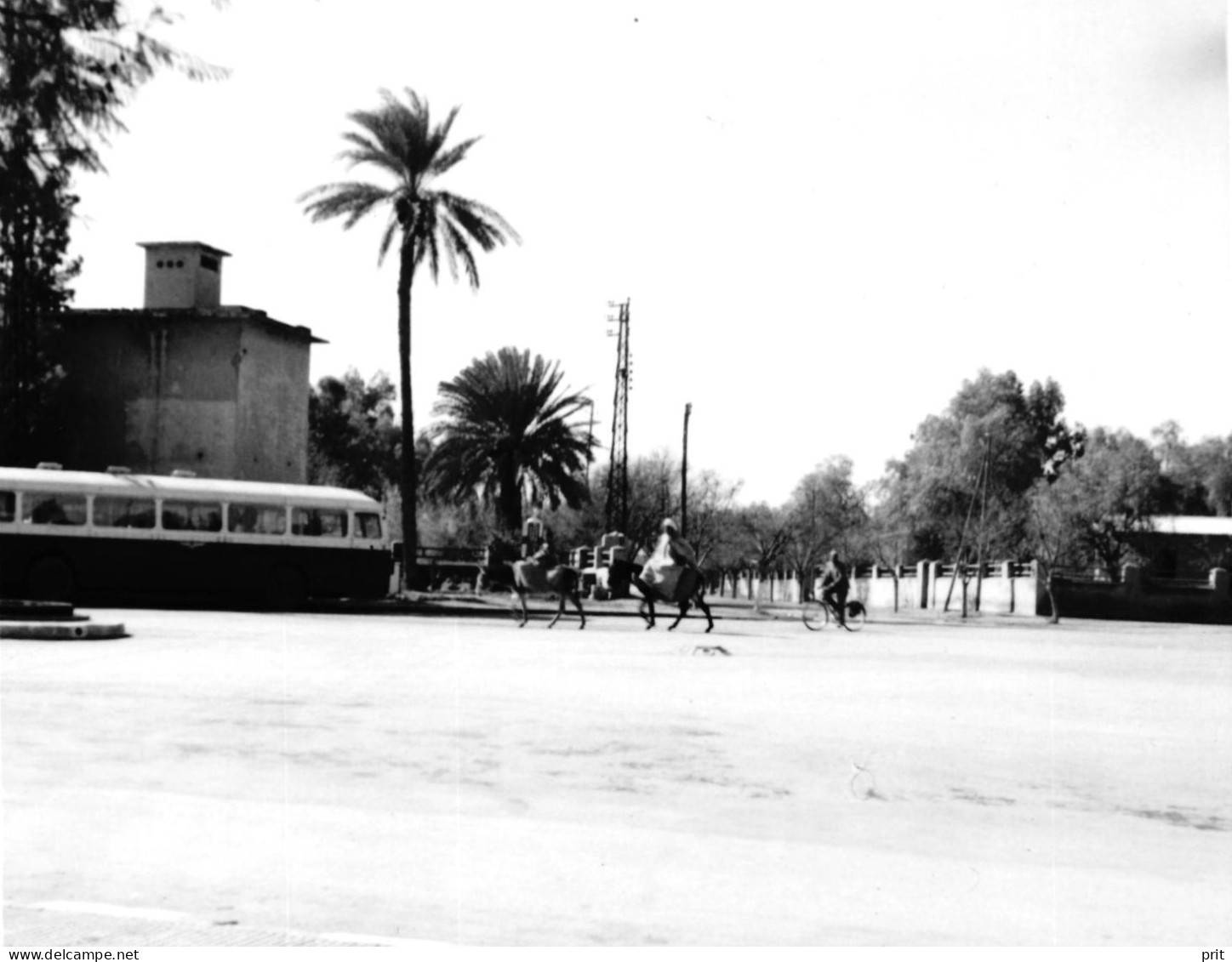 Marrakesh Morocco Street View Vintage Bus Bike Men Ride On Donkeys 1950-60s Small Vintage Photo 9 X 9 Cm - Afrique