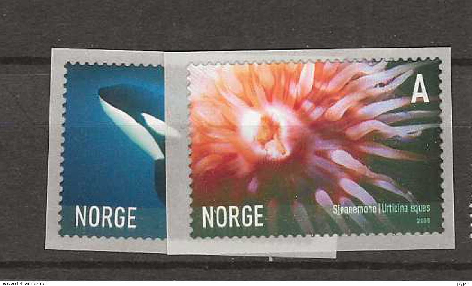 2005 MNH Norway, Mi 1544-45 Postfris** - Ongebruikt