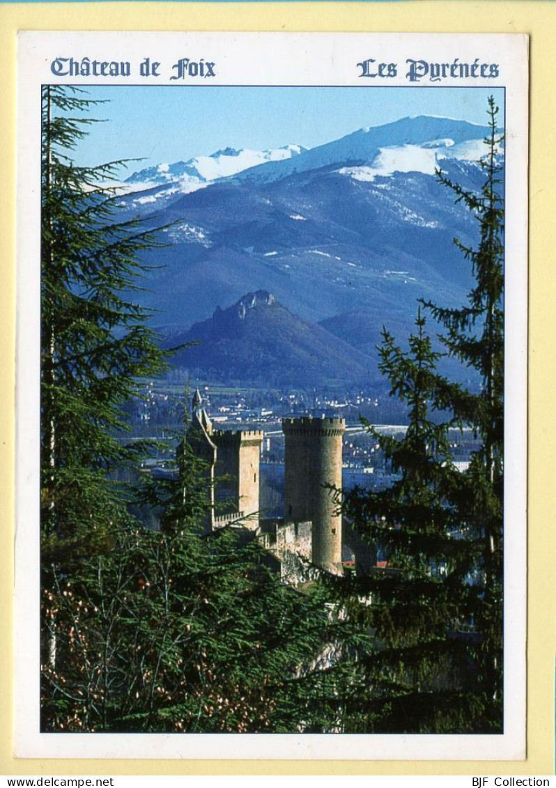 09. FOIX – Le Château Fort Des Comtes De Foix  (voir Scan Recto/verso) - Foix