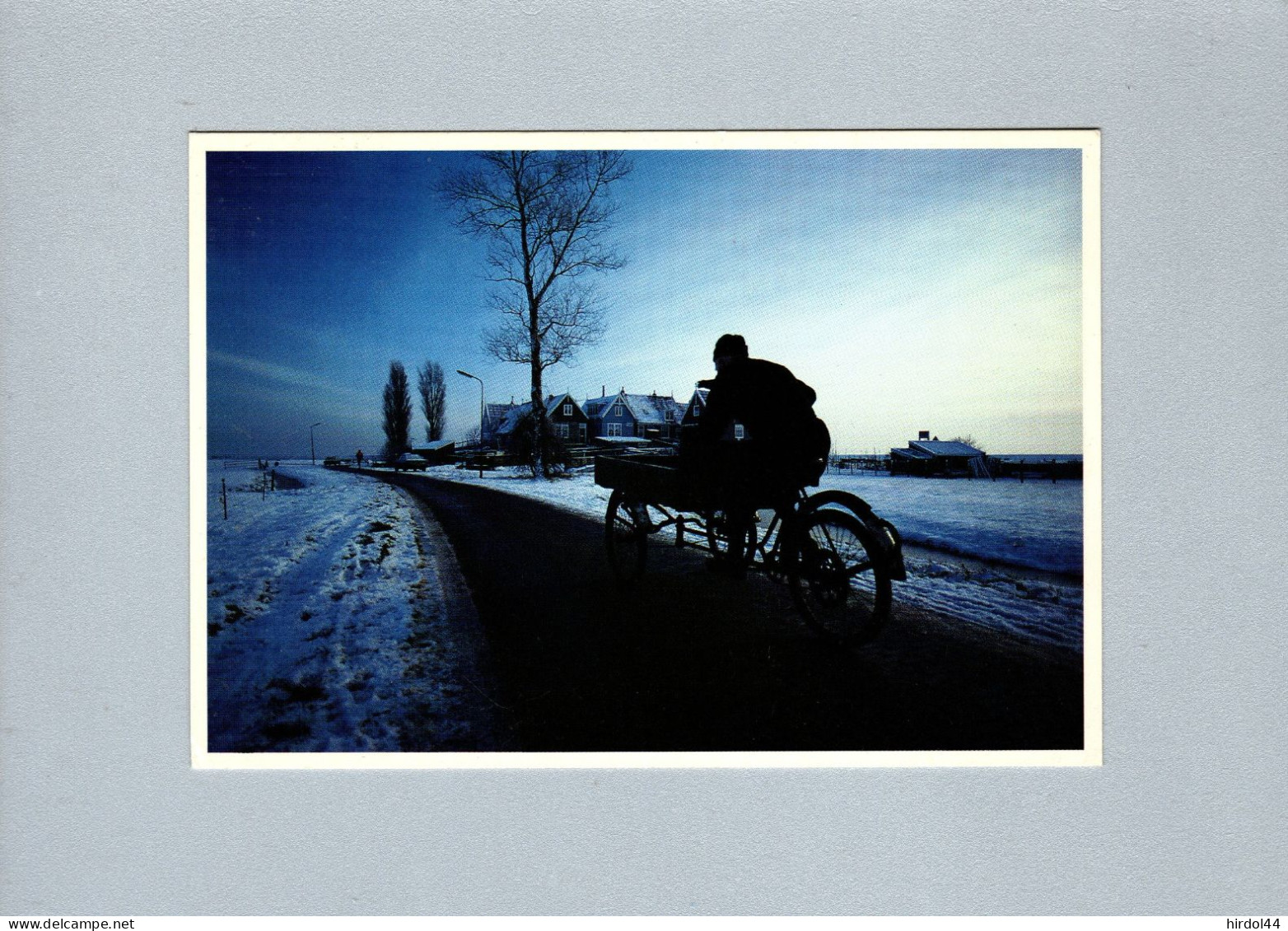 Vélo : L'hiver En Holland - Other & Unclassified