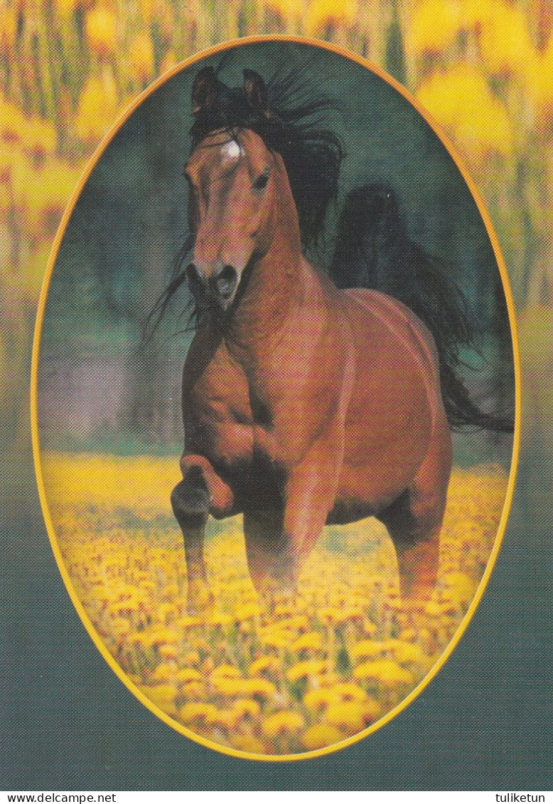 Horse - Cheval - Paard - Pferd - Cavallo - Cavalo - Caballo - Häst - Papron - Caballos