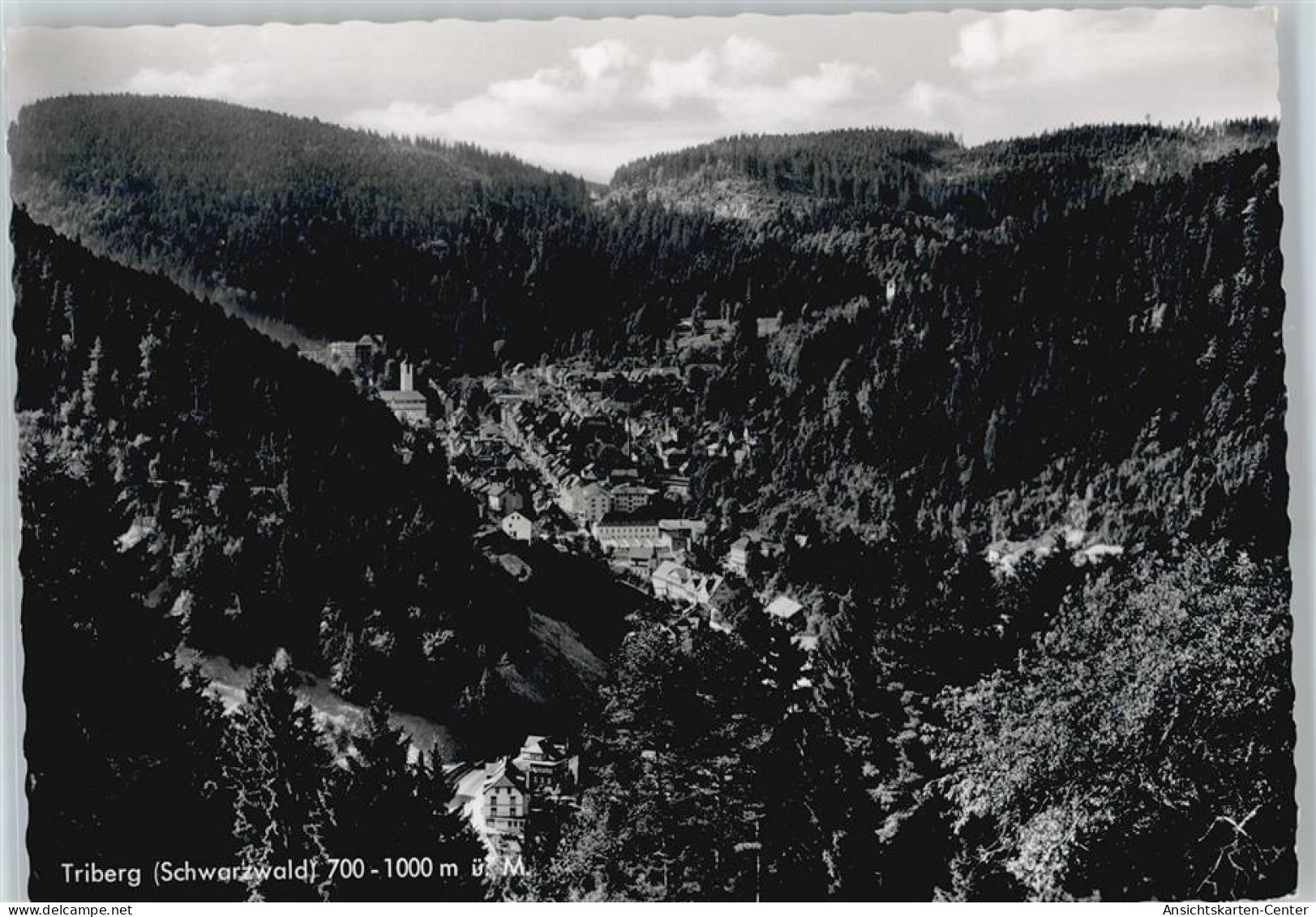 50436408 - Triberg Im Schwarzwald - Triberg