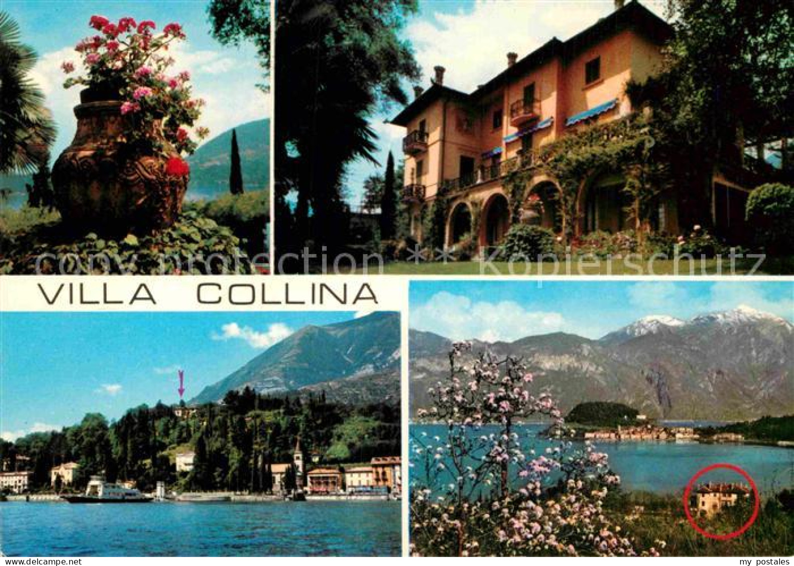 72884602 Griante Cadenabbia Lago Di Como Villa Collina Teilansicht Griante Caden - Sonstige & Ohne Zuordnung