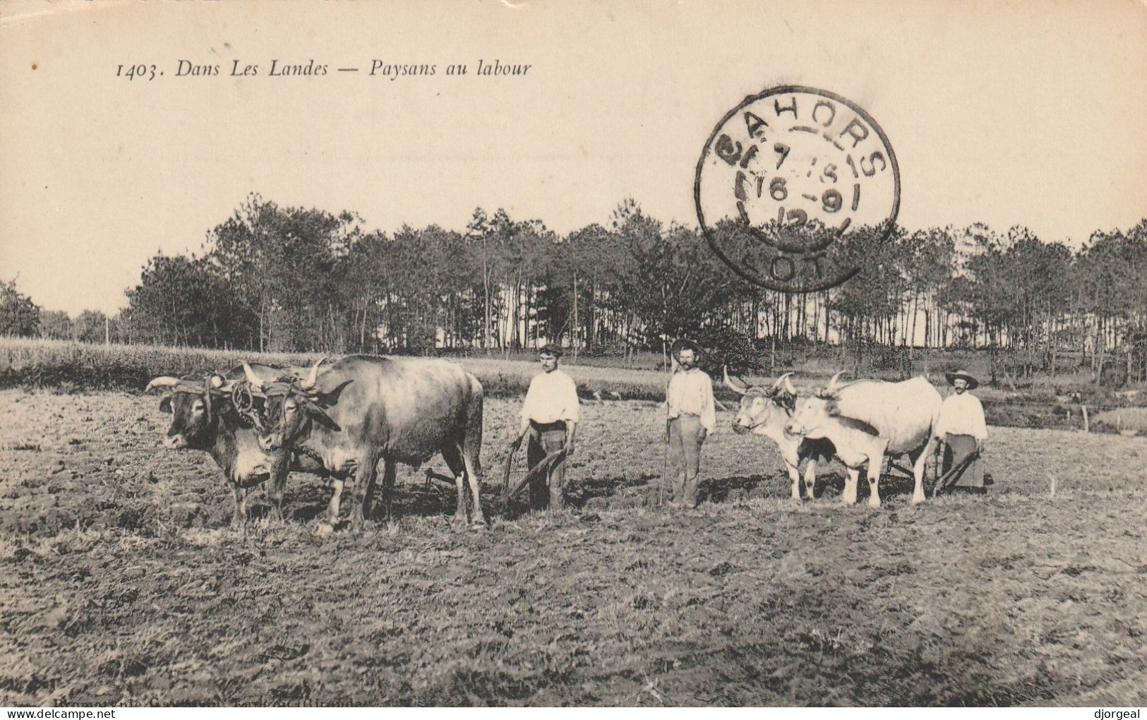 LANDES - 40 - PAYSANS Au LABOUR - Autres & Non Classés