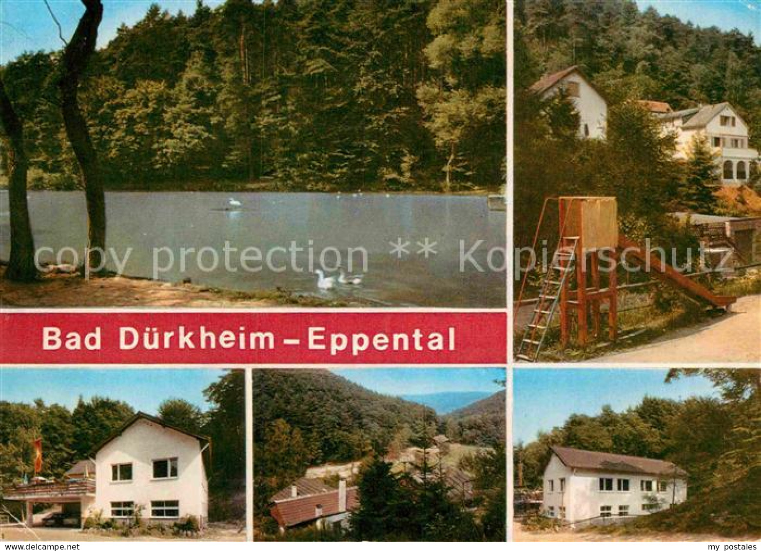 72883698 Bad Duerkheim Am Schlangenweiher Details Bad Duerkheim - Bad Duerkheim