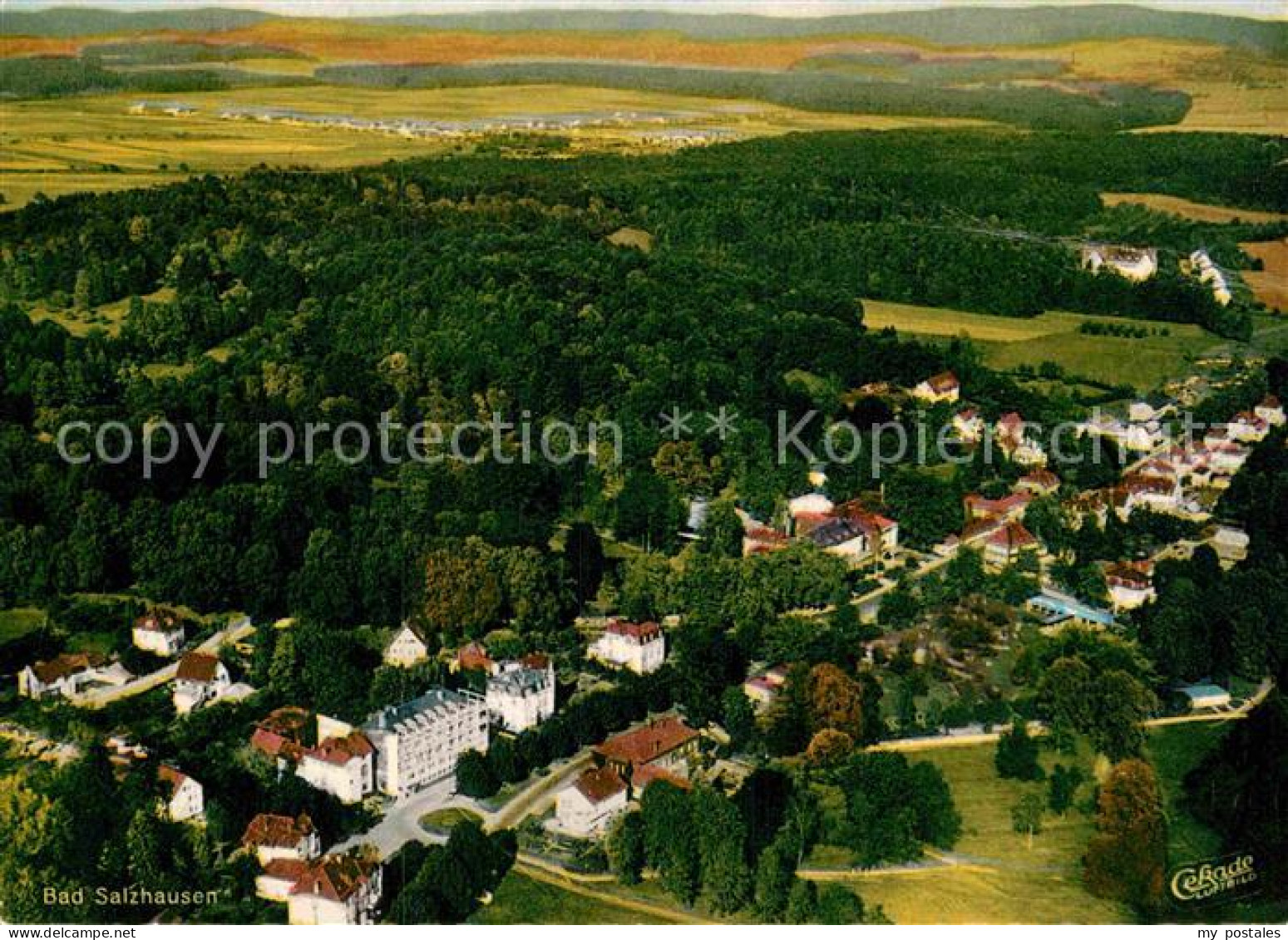 72883680 Bad Salzhausen Bienkos Park Cafe Fliegeraufnahme  Bad Salzhausen - Sonstige & Ohne Zuordnung