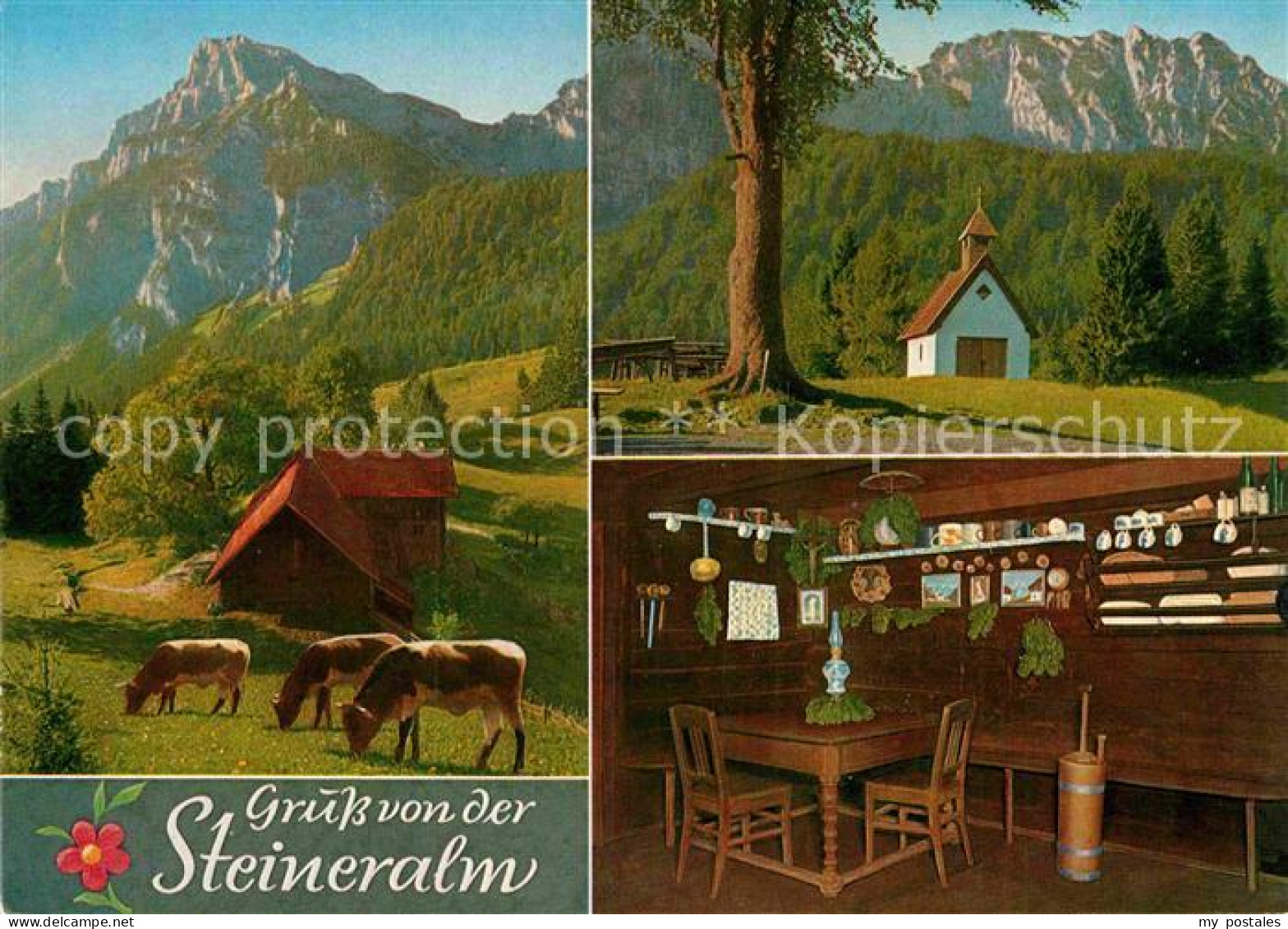 72882971 Bad Reichenhall Steineralm Bad Reichenhall - Bad Reichenhall