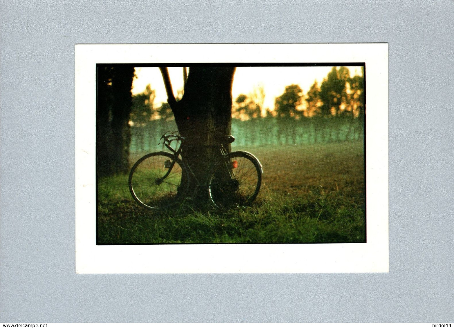 Vélo : - Andere & Zonder Classificatie