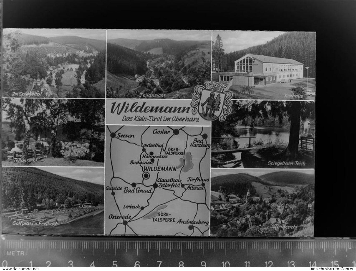30047408 - Wildemann - Wildemann
