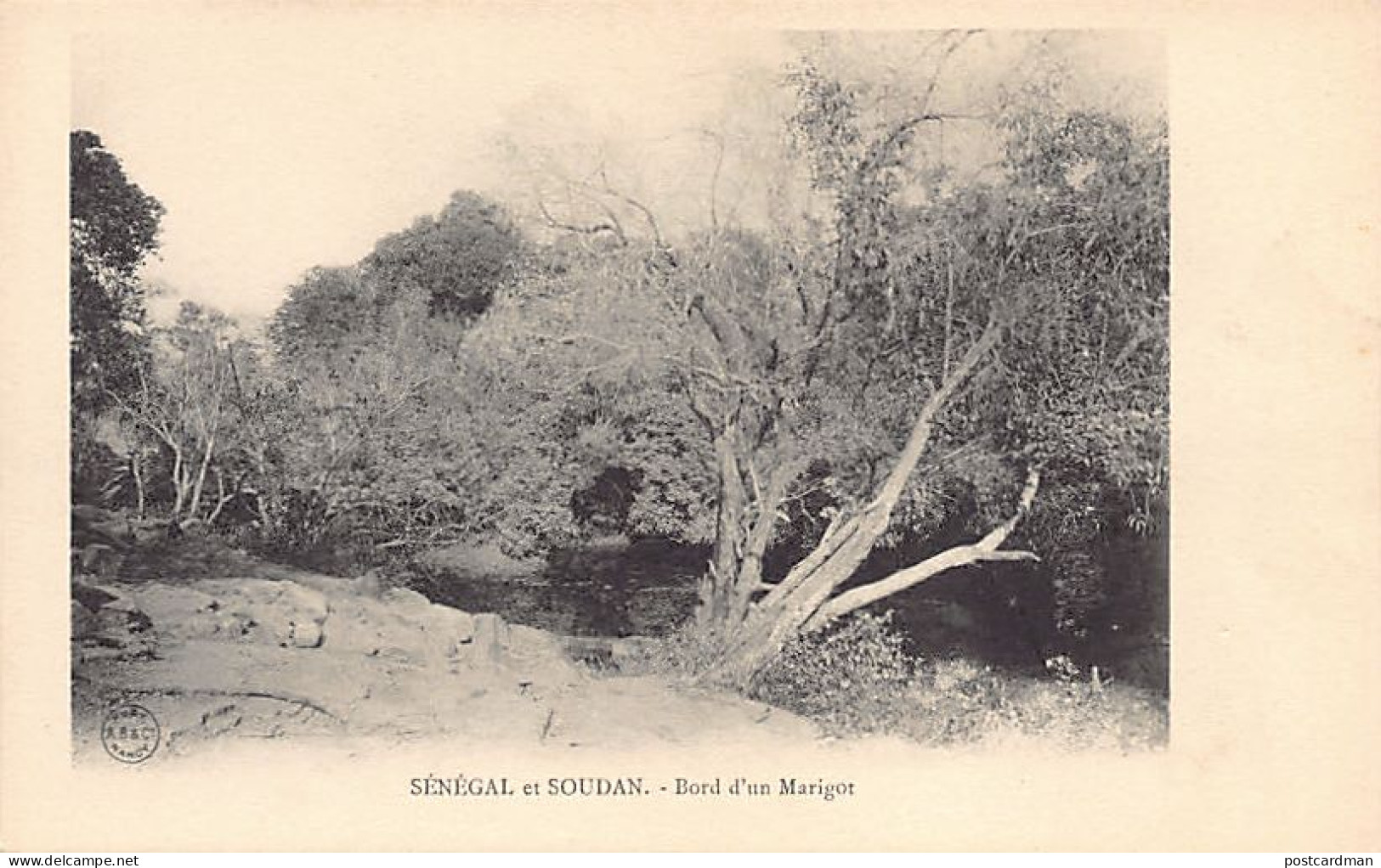 Mali - Bord D'un Marigot - Ed. A. Bergeret & Cie  - Mali