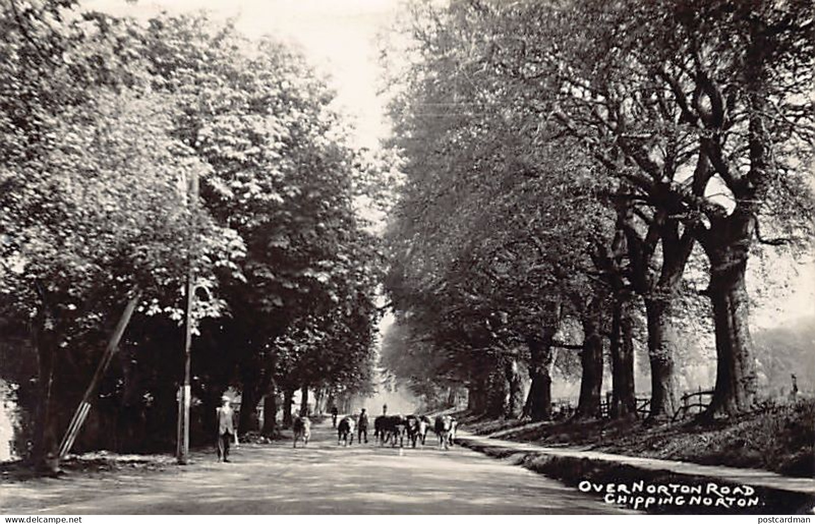 England - CHIPPING NORTON - Over Norton Road - REAL PHOTO - See Scans For Condition - Autres & Non Classés