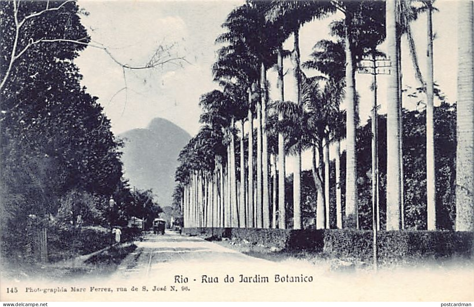 Brasil - RIO DE JANEIRO - Rua Do Jardim Botanico - Ed. Marc Ferrez 145 - Andere & Zonder Classificatie