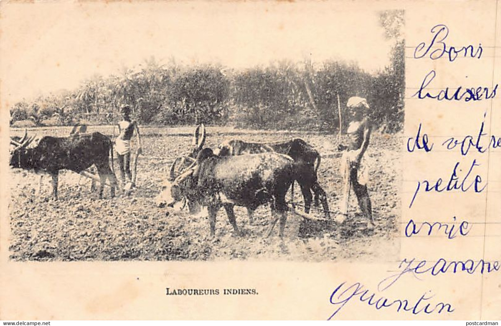 India - Indian Ploughmen - India