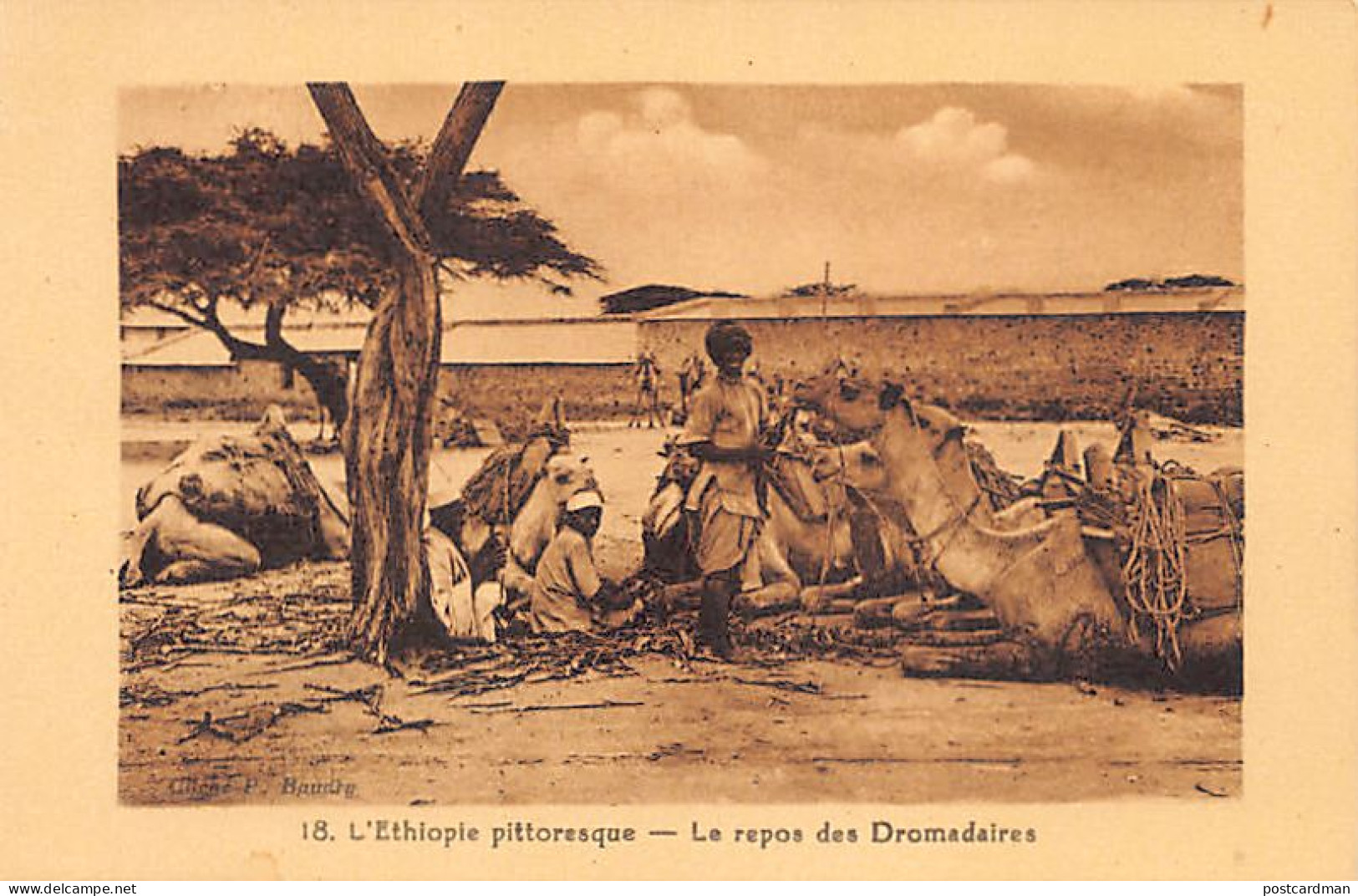 Ethiopia - DIRE DAWA - The Rest Of The Camels - Publ. Printing Works Of The Dire Dawa Catholic Mission - Photographer P. - Ethiopie