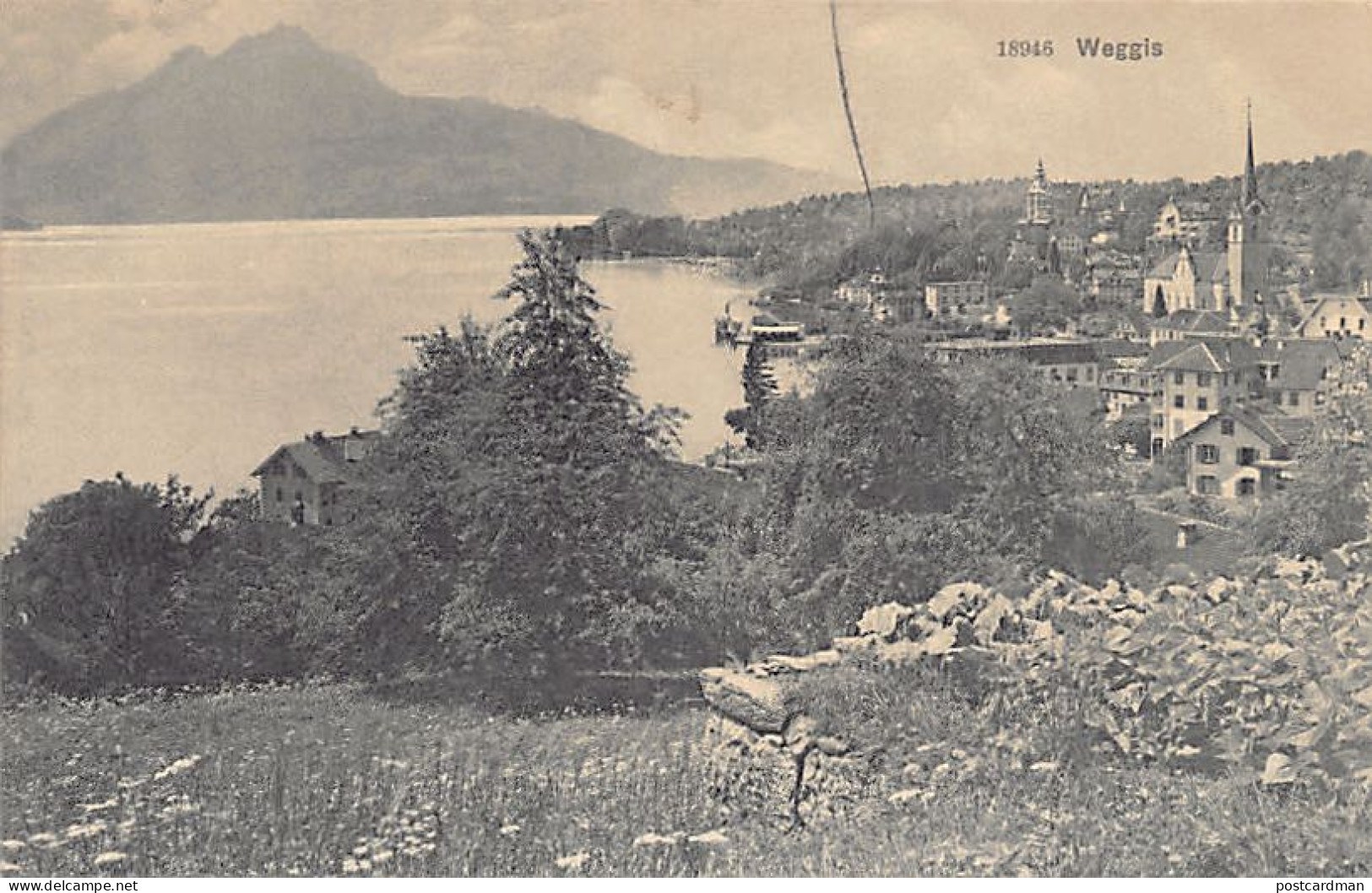 WEGGIS (LU) Panorama - Verlag Wehrli 18946 - Weggis