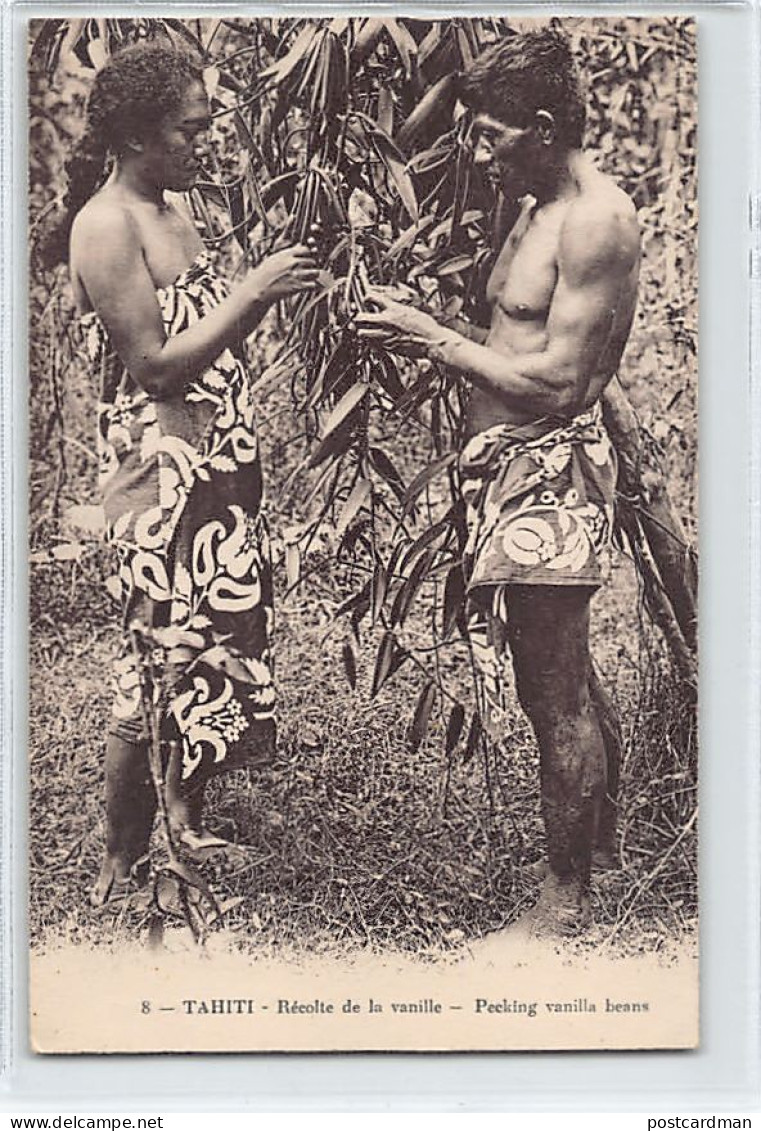 TAHITI - Récolte De La Vanille - Harvesting Vanilla - Ed. R.P. 8 - Polynésie Française