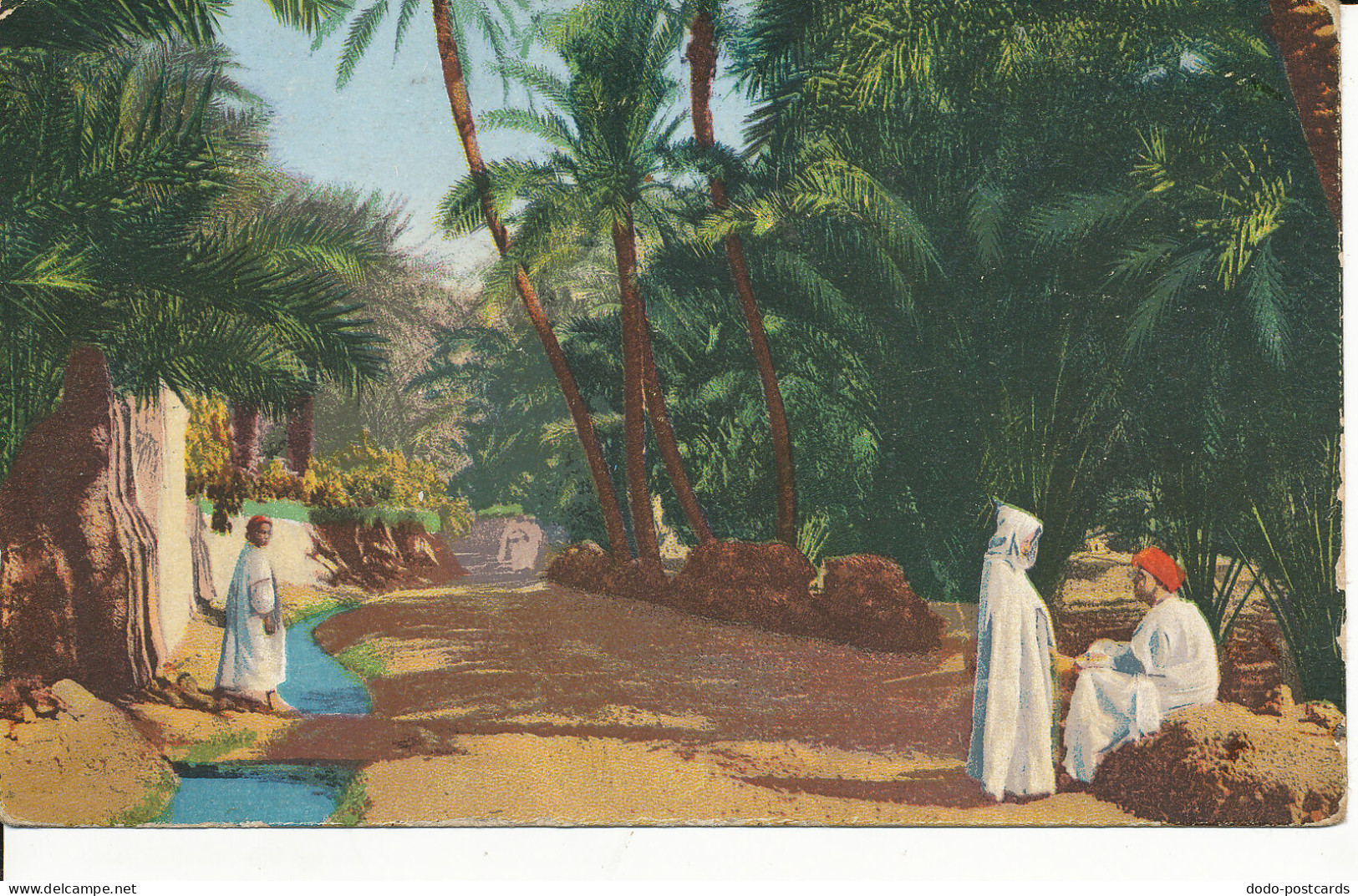 PC33755 Old Postcard. Palm Alley - Monde