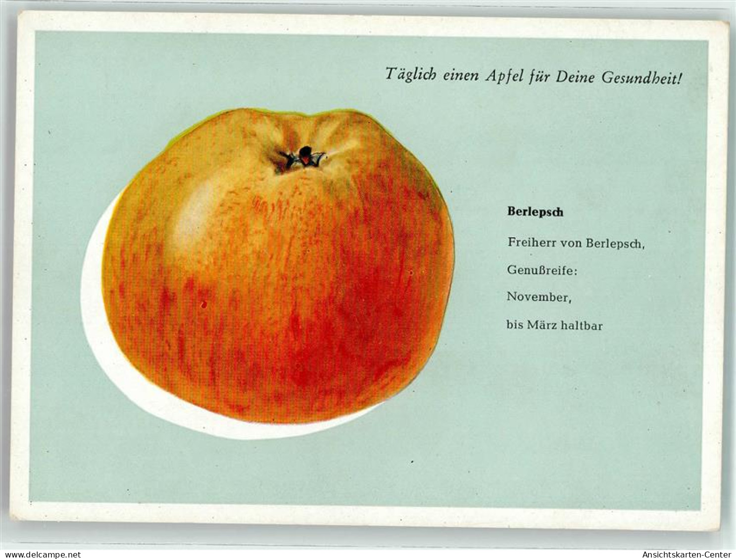 39292908 - Apfel Freiherr Von Berlepsch AK - Andere & Zonder Classificatie