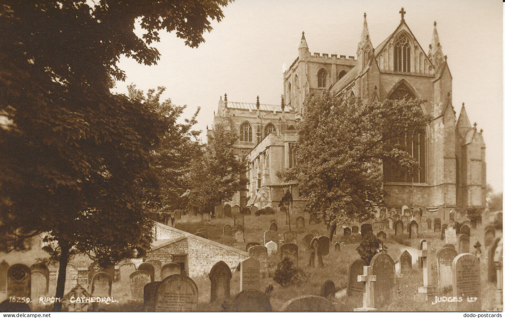 PC34766 Ripon Cathedral. Judges Ltd. No 16259. RP - Monde