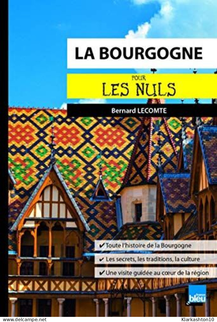 La Bourgogne Pour Les Nuls Poche - Otros & Sin Clasificación